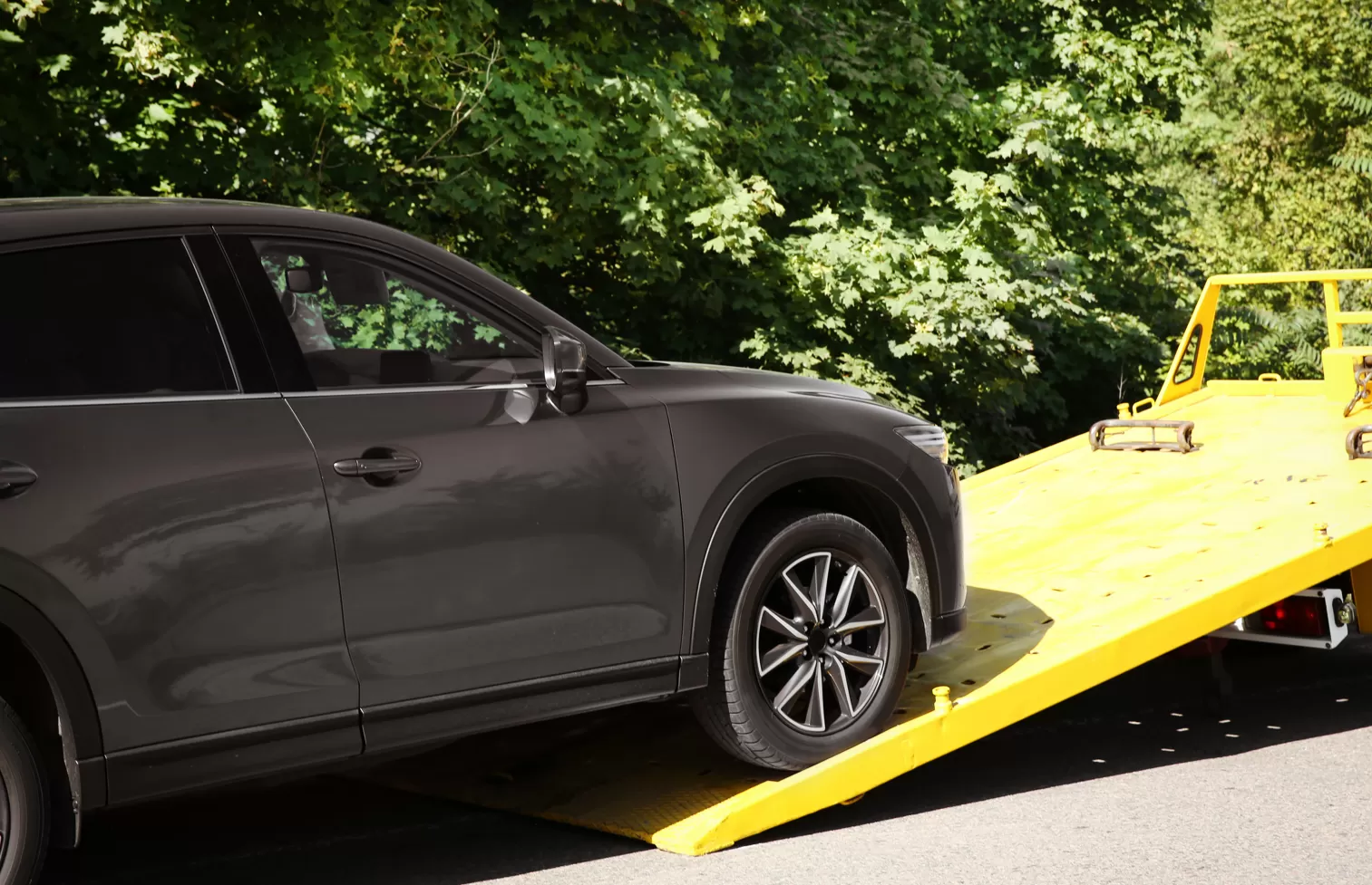 About Us(full-kutu-2) Kopyası Kopyası